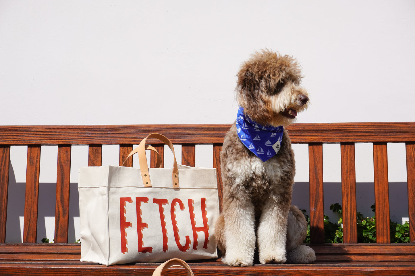 Fetch Tote