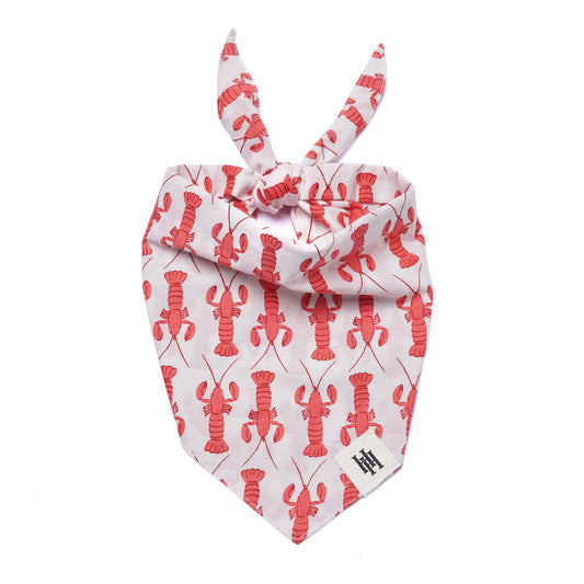 Lobster Bandana
