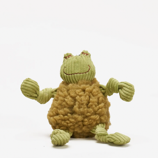 Fiona the Frog