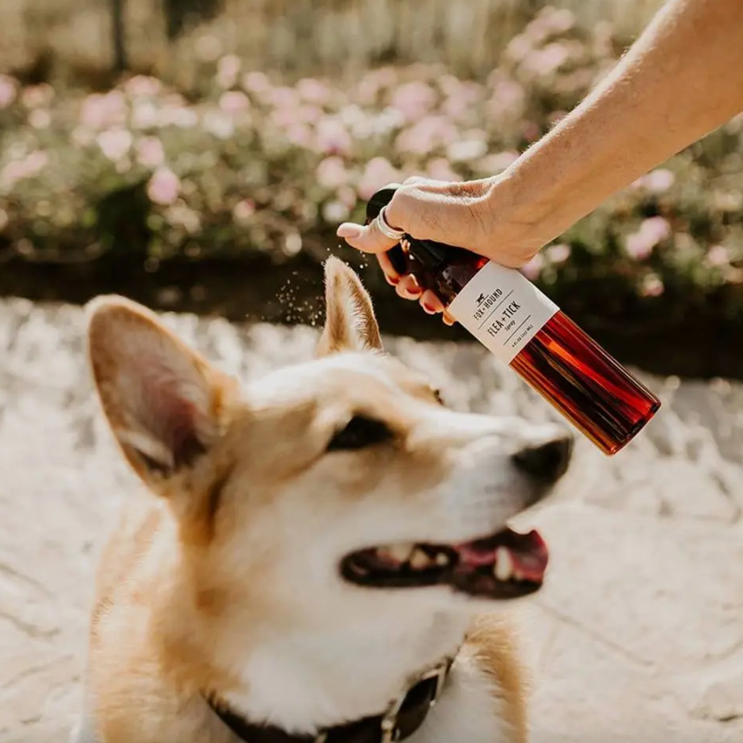 Flea & Tick Spray