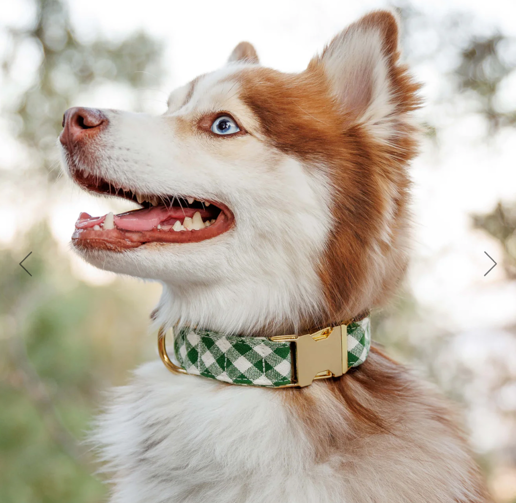Gingham Hunter Green Collar
