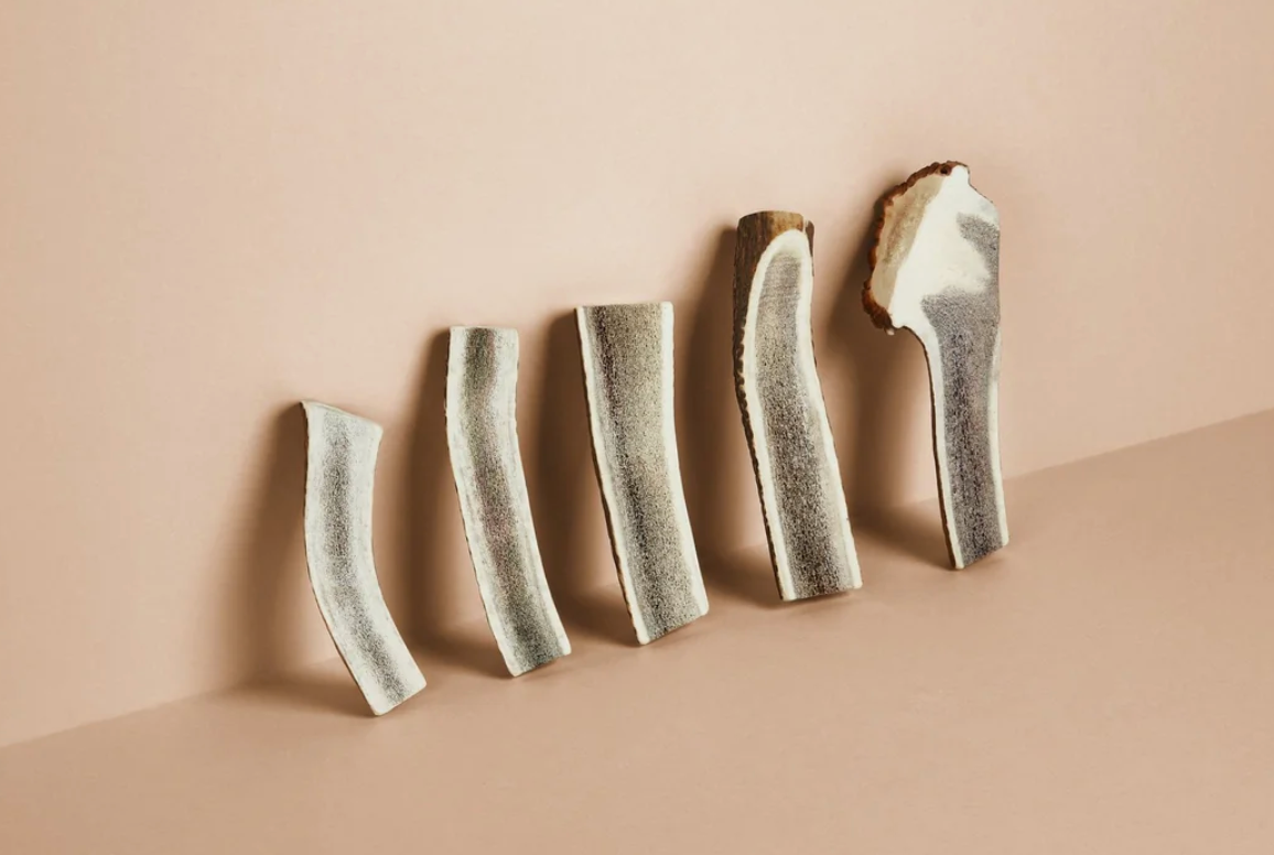 Red Deer Antler Split