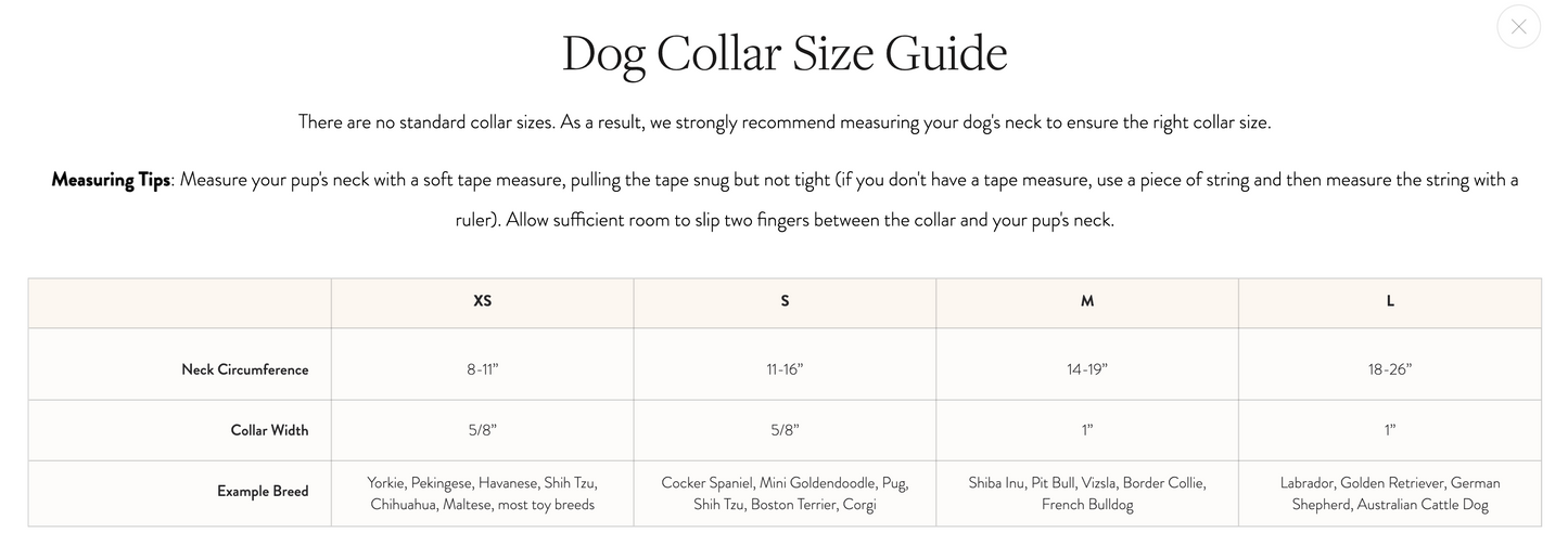 Sky Blue Gingham Dog Collar