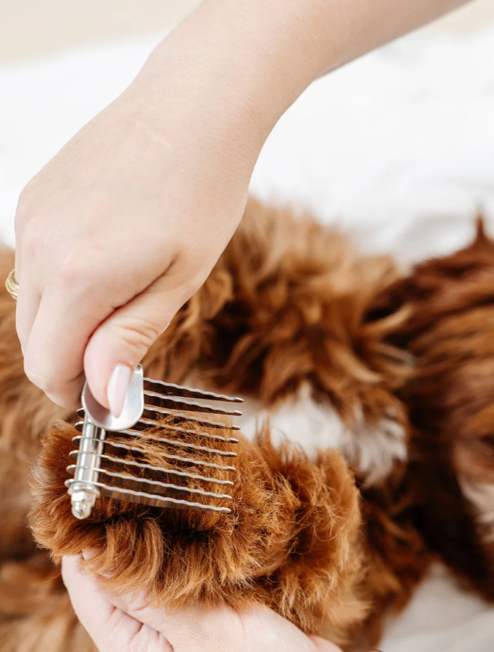 The Detangler