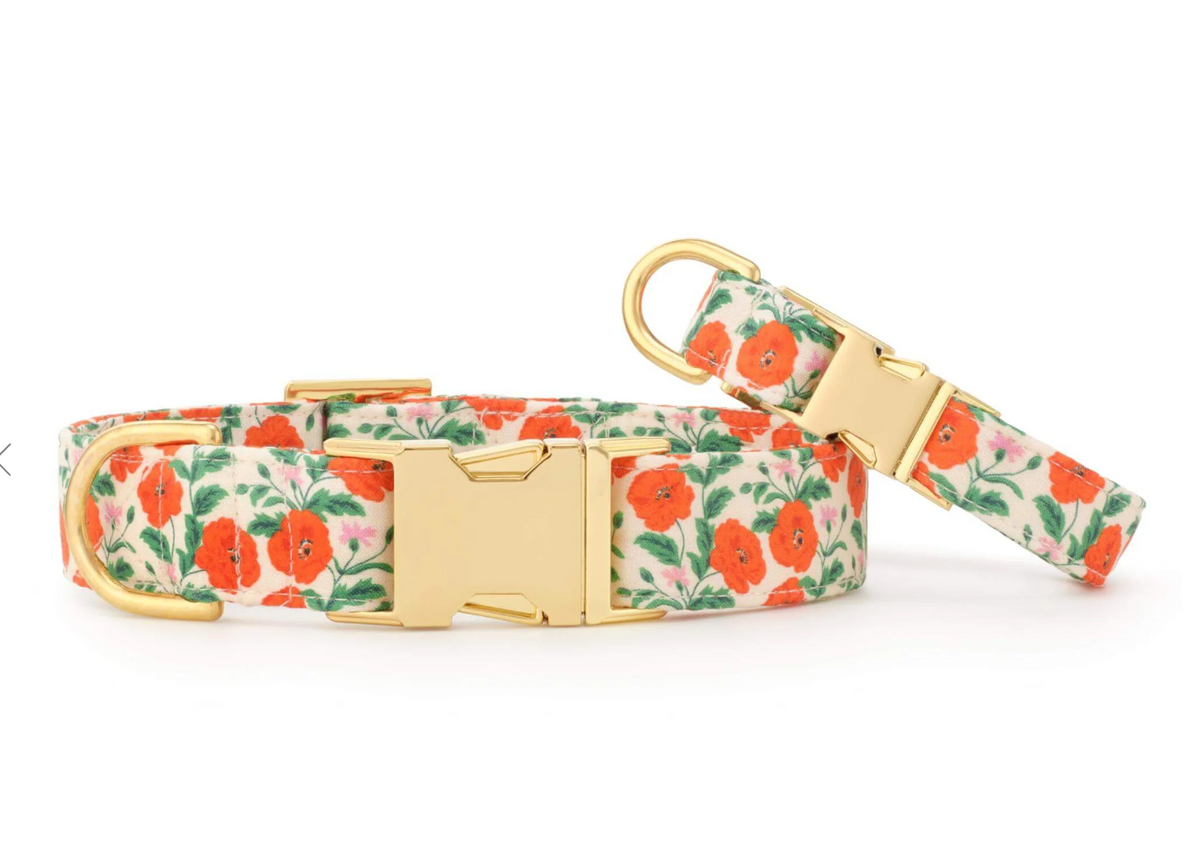 Golden Poppies Dog Collar
