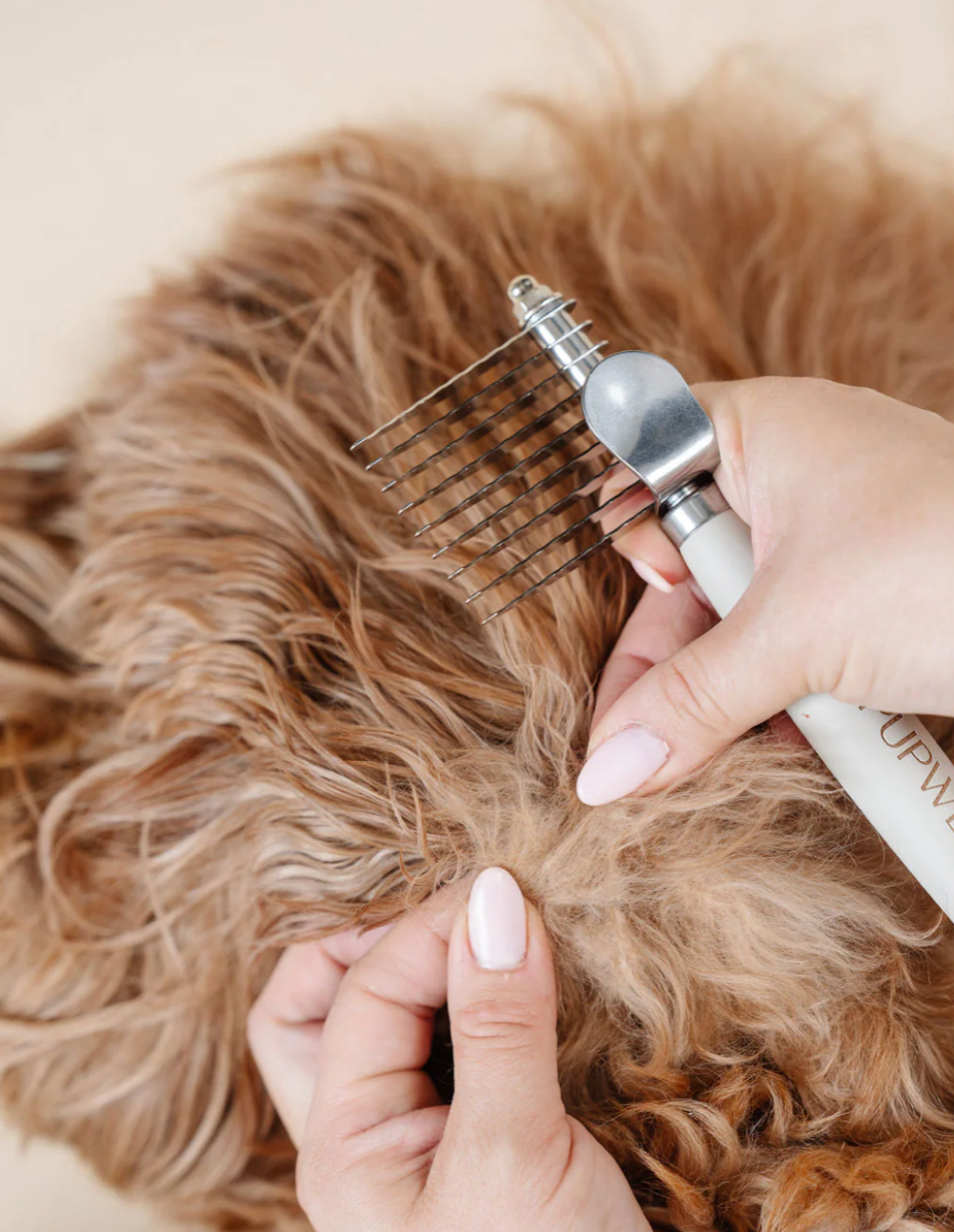 The Detangler