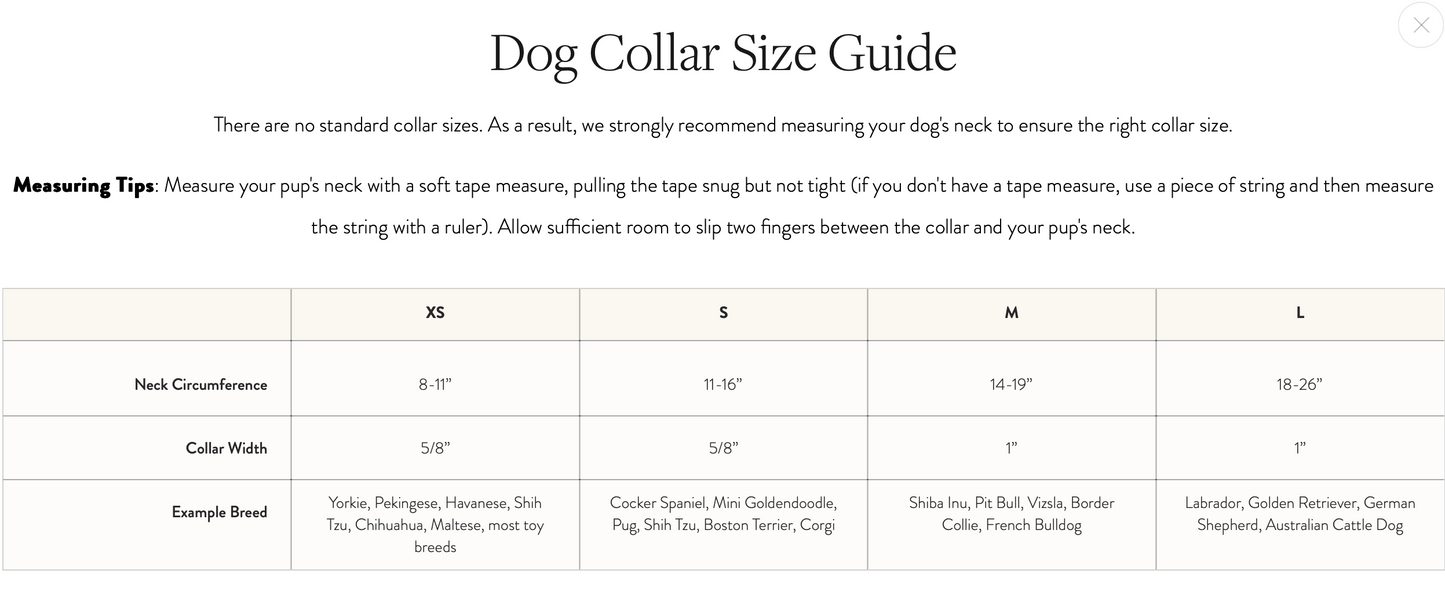 Marguerite Dog Collar