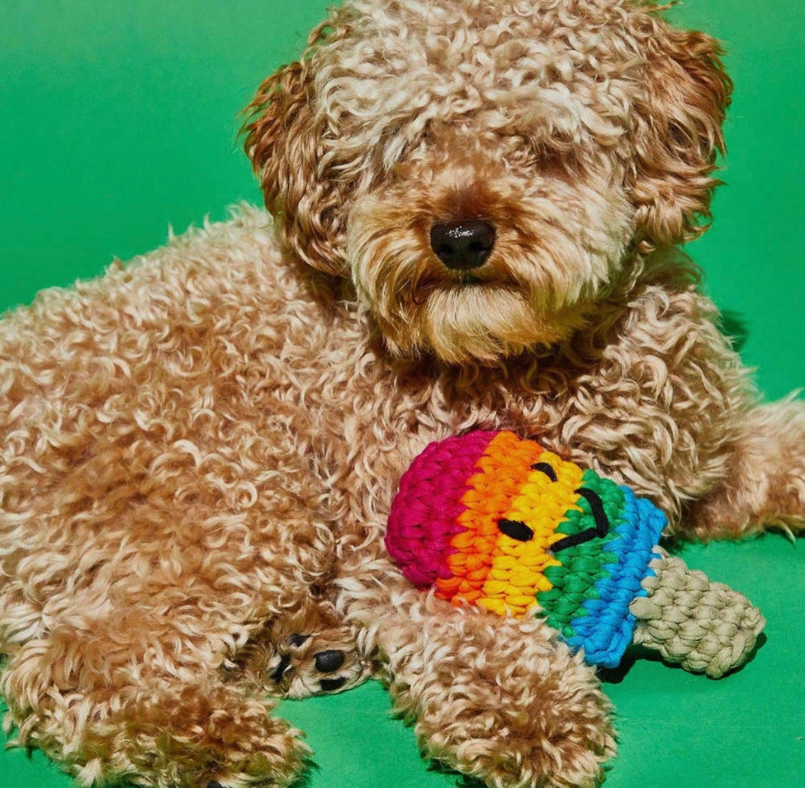 Crochet Popsicle