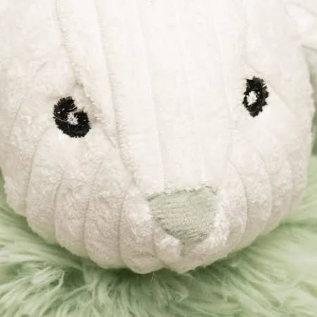 Carrotlyn Knottie