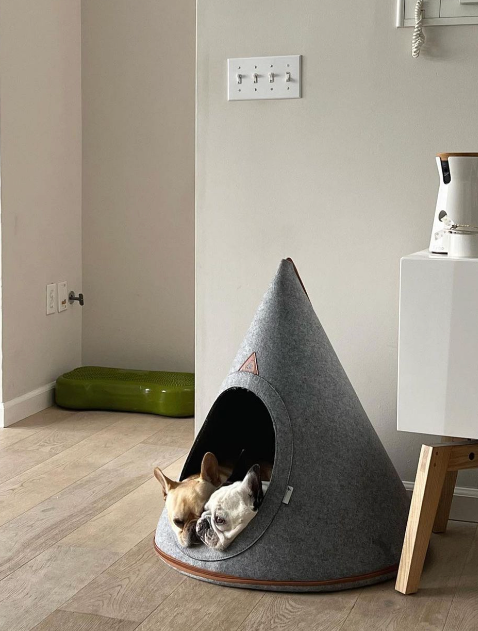 Pet cave sales for medium dog