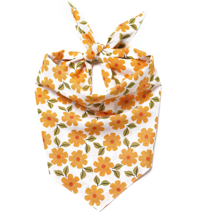 Marigold Dog Bandana