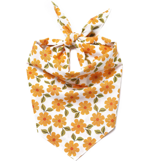 Marigold Dog Bandana