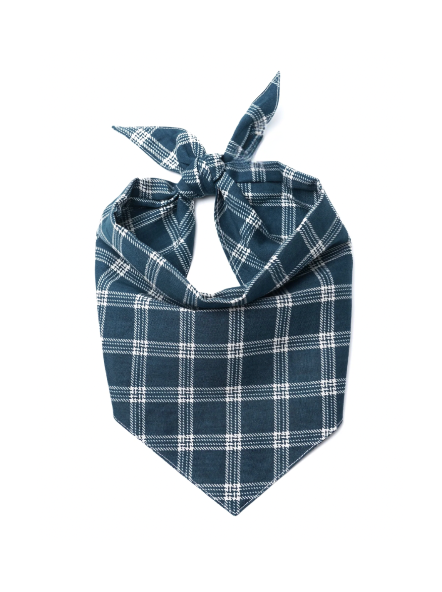 Slate Dog Bandana