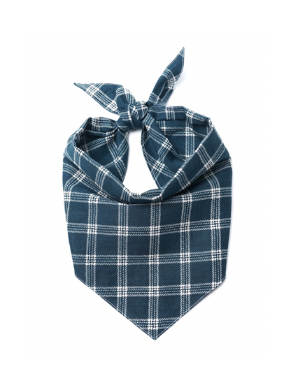 Slate Dog Bandana
