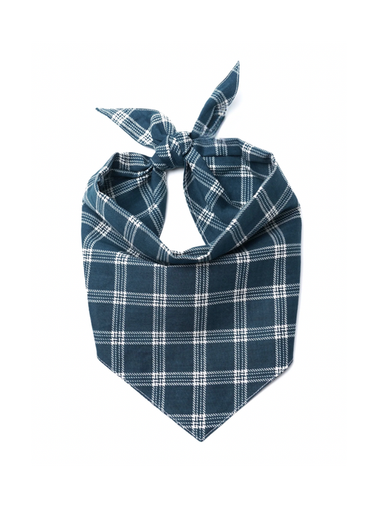 Slate Dog Bandana