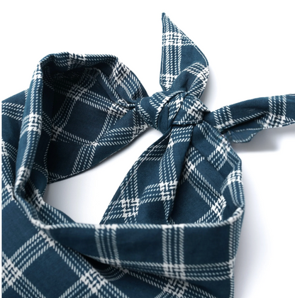 Slate Dog Bandana