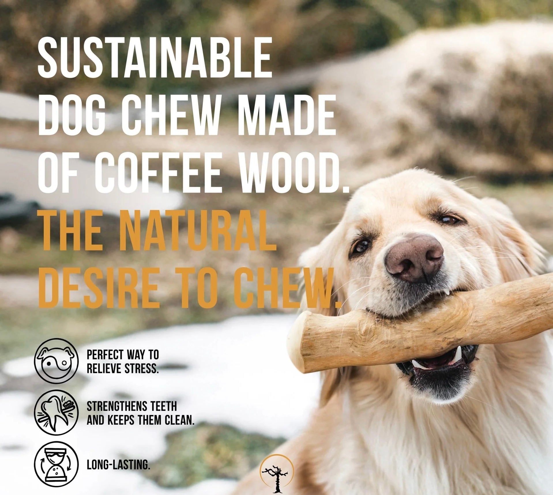 Coffee Wood Chew Stick