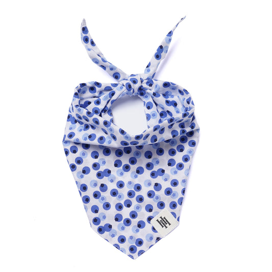 Blue Berry Dog Bandana
