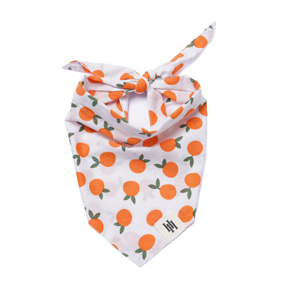 Clementine Dog Bandana