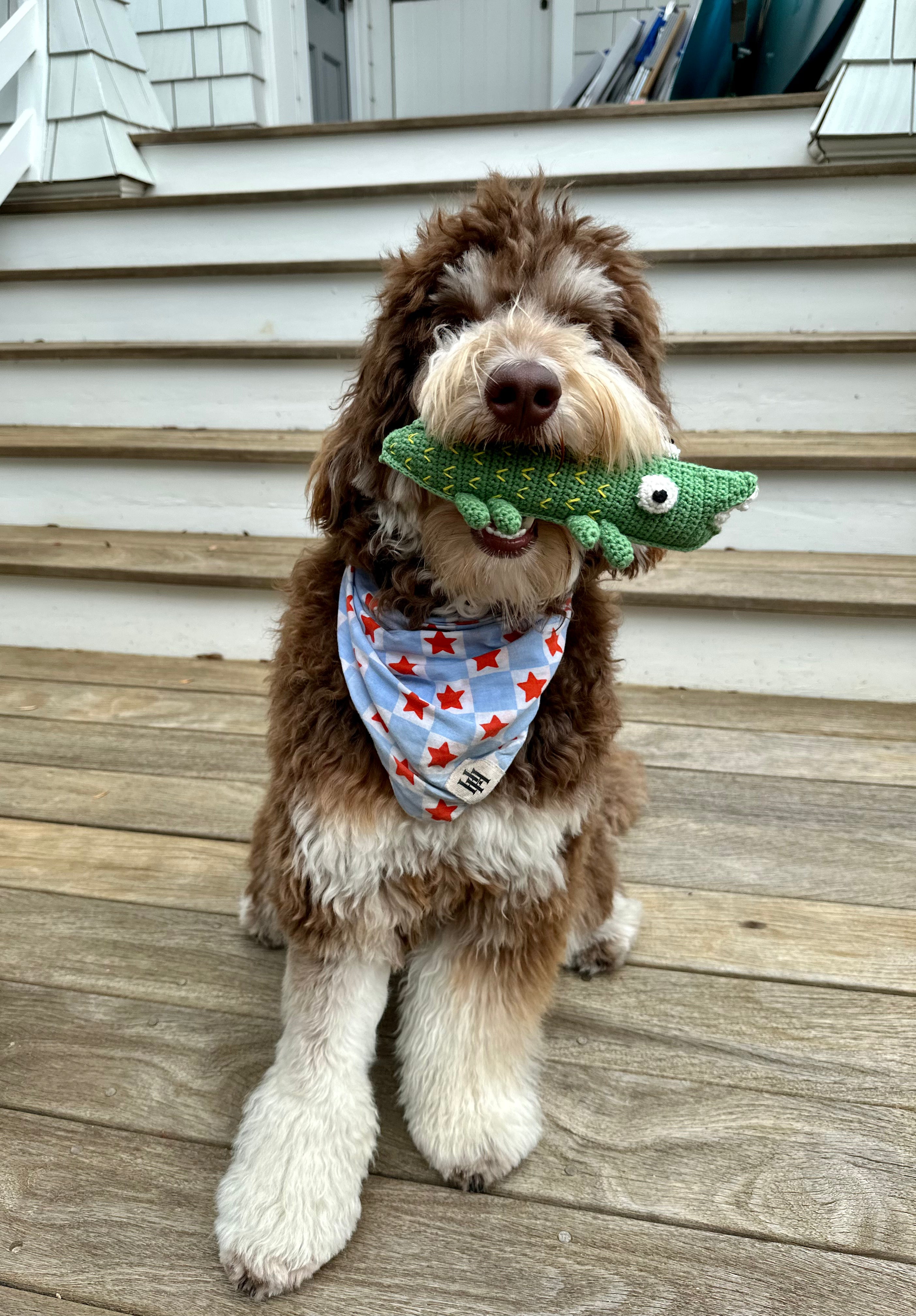 Andy The Crochet Alligator