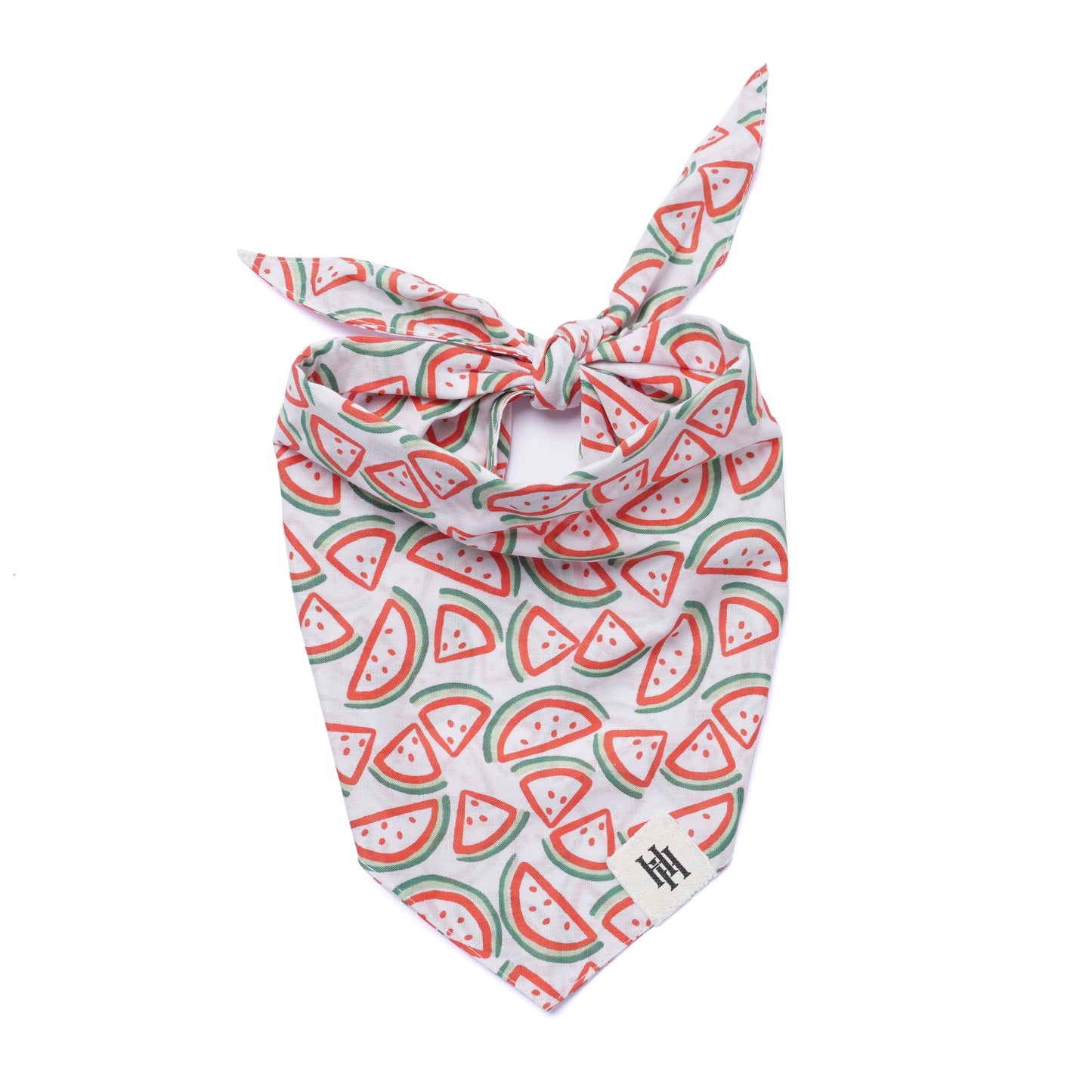 Mystery Pack (2) Bandanas