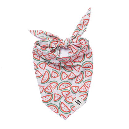 Mystery Pack (2) Bandanas