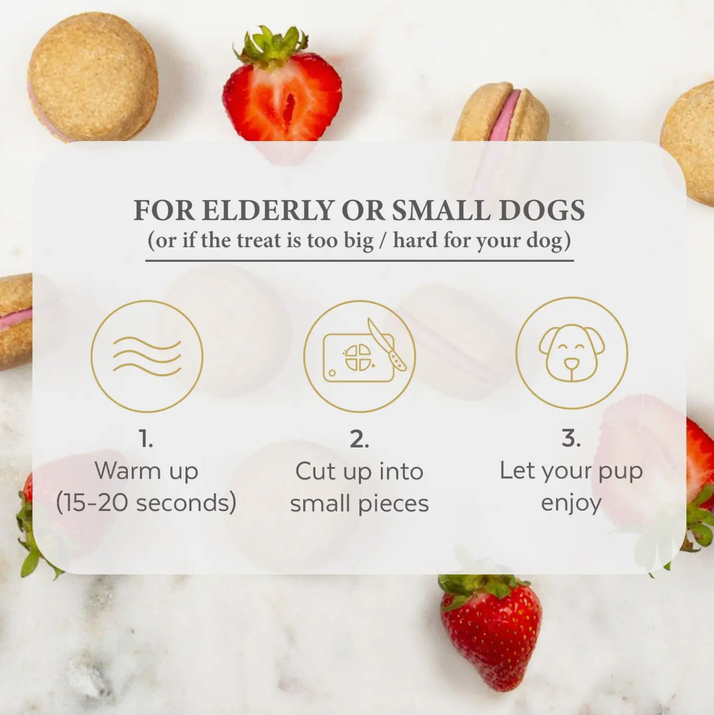 Dog Macaron Treats