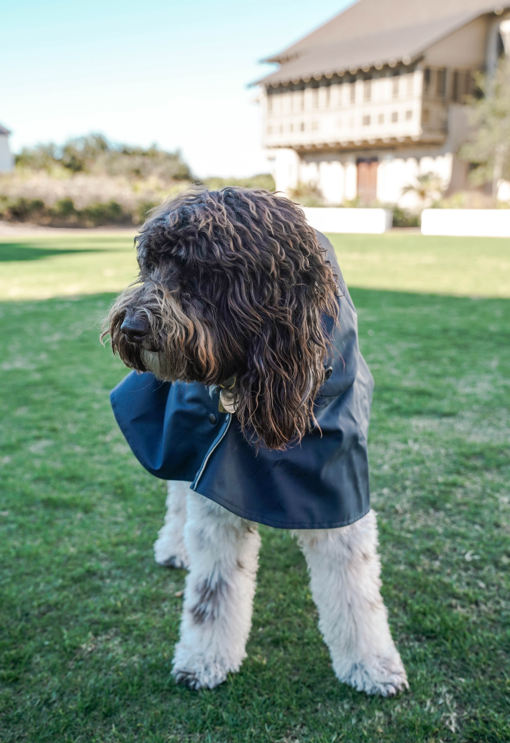 William Cape Raincoat Navy Blue