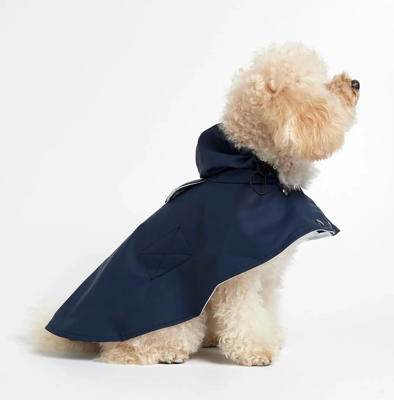 William Cape Raincoat Navy Blue