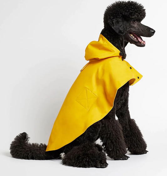 William Cape Raincoat Yellow