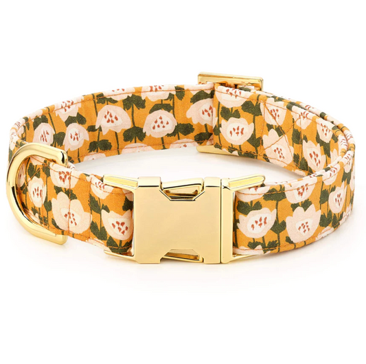 Goldenflowers Dog Collar