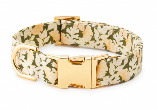 Foggy Dog Autumn Leaves Dog Collar