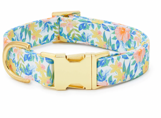 Foggy Dog Tropicana Dog Collar