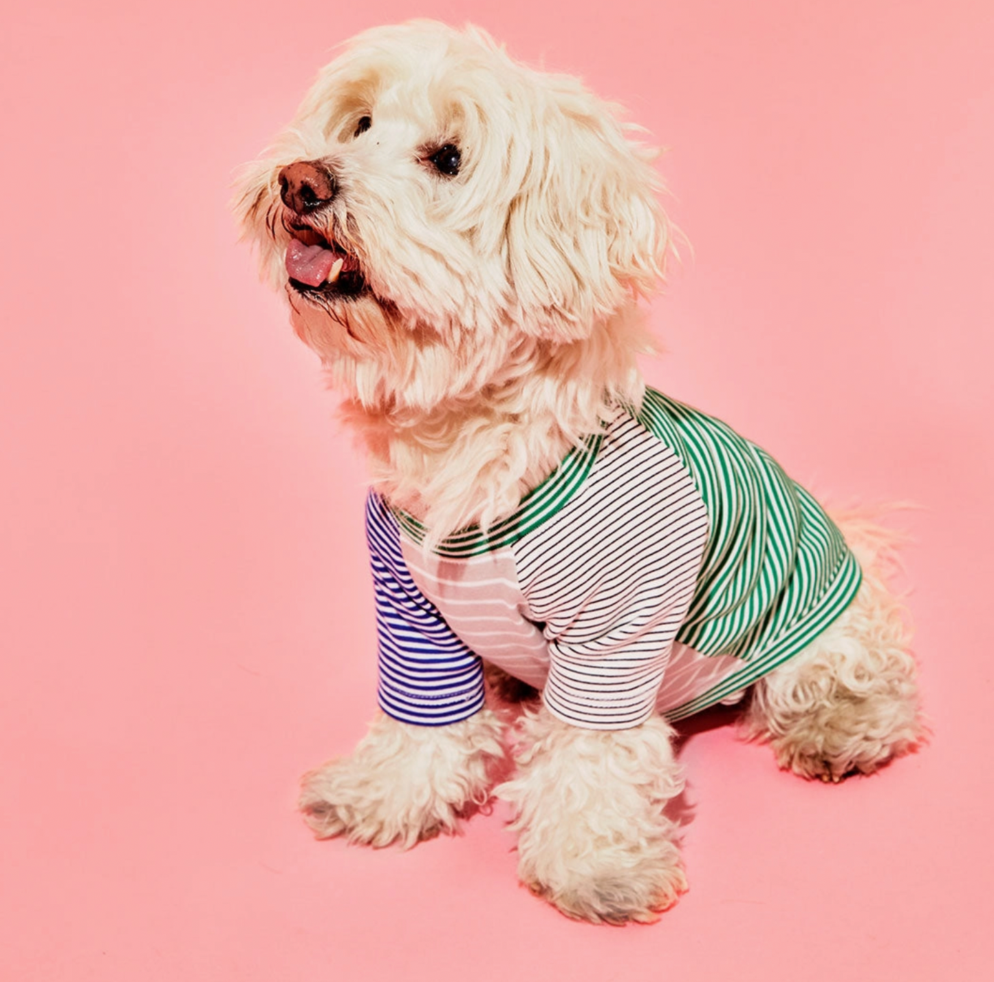 Green & White Crazy Striped T-Shirt