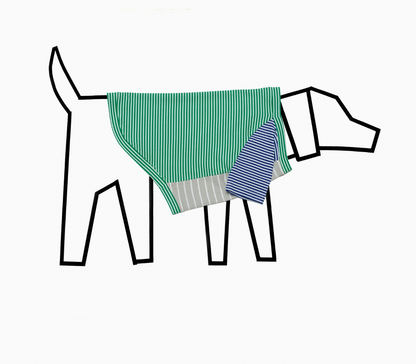 Green & White Crazy Striped T-Shirt