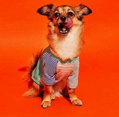 Green & White Crazy Striped T-Shirt