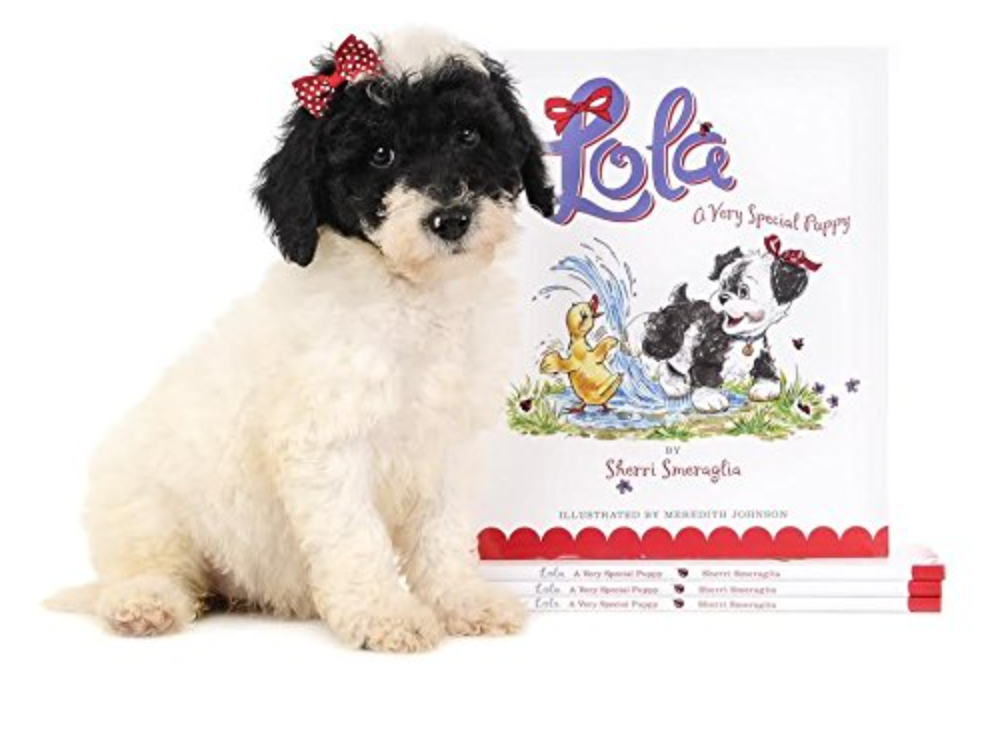 Lola - A very special puppy Book