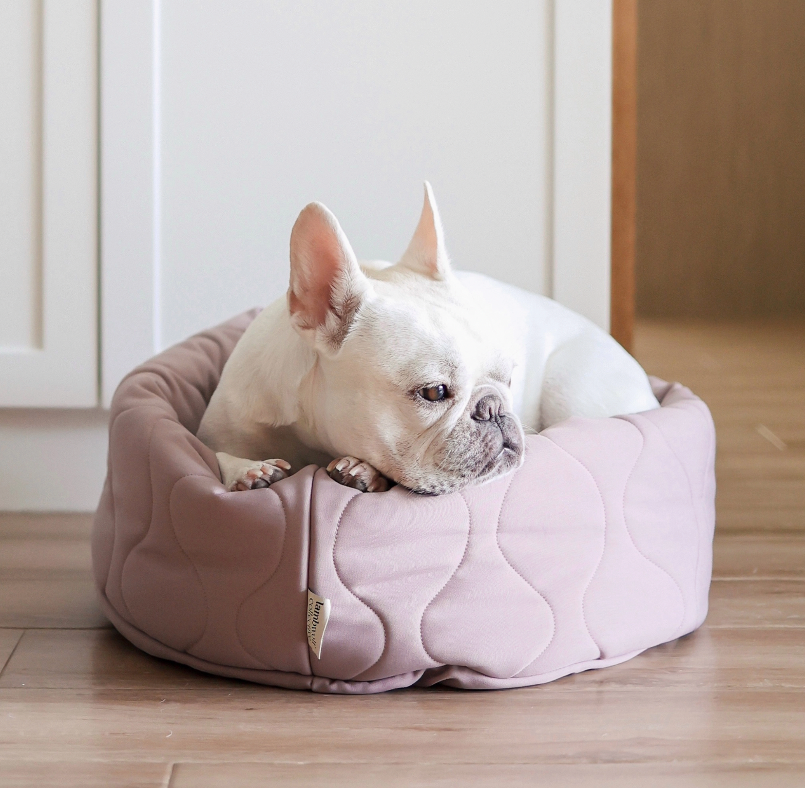 TAART Dog Bed