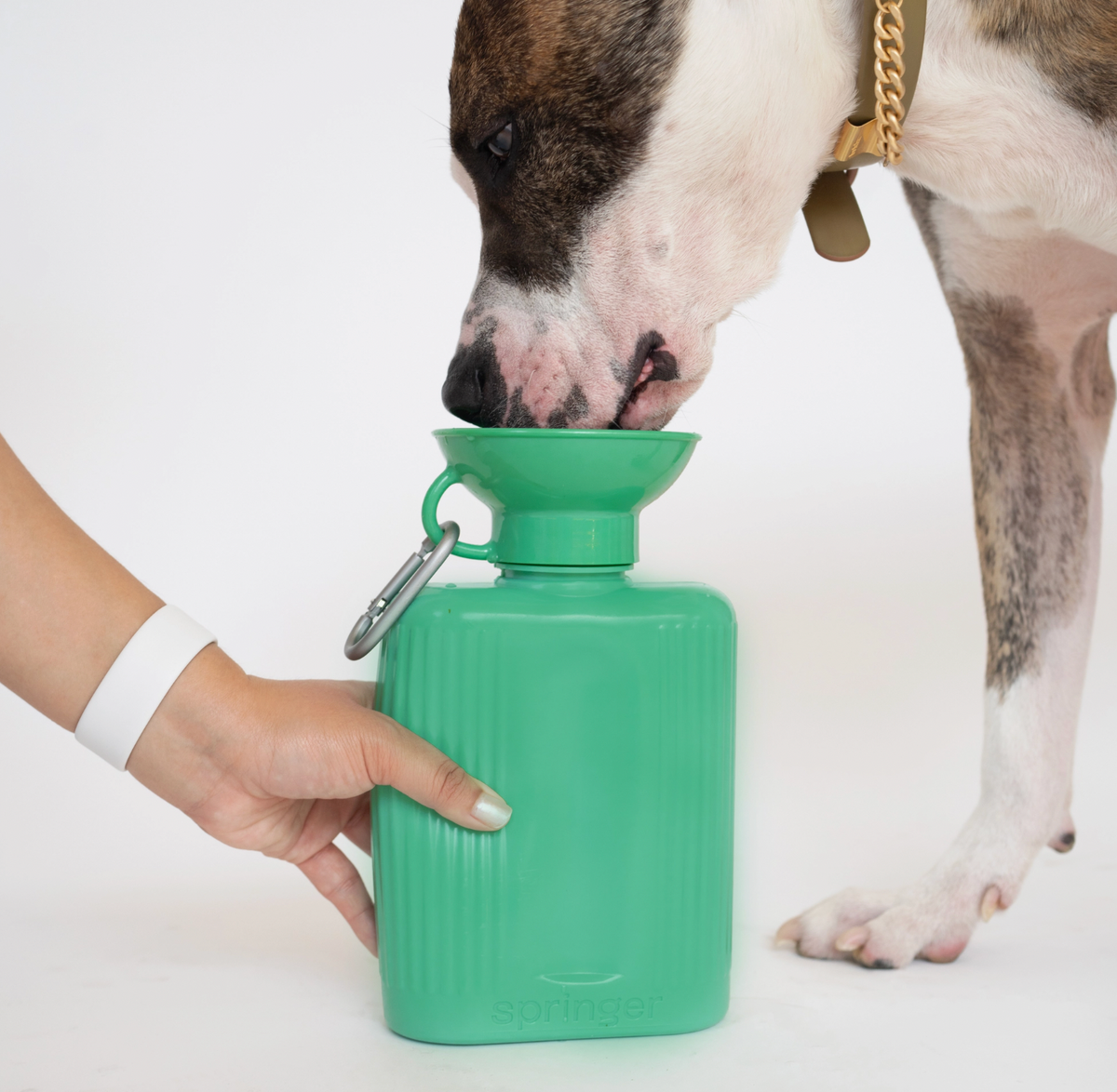 Springer Growler  44oz