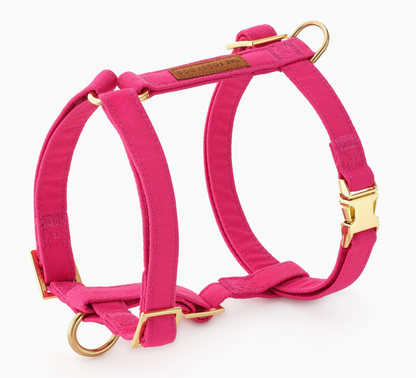 Foggy Dog Harness