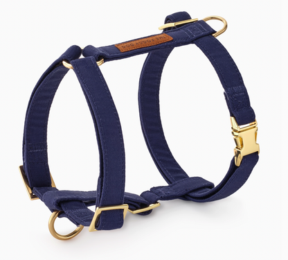 Foggy Dog Harness