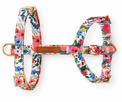 Foggy Dog Harness