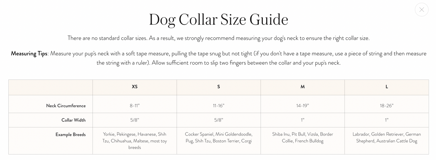 Daisy Embroidered Dog Collar
