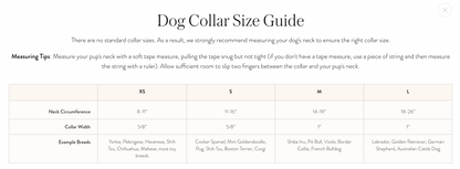 Daisy Embroidered Dog Collar