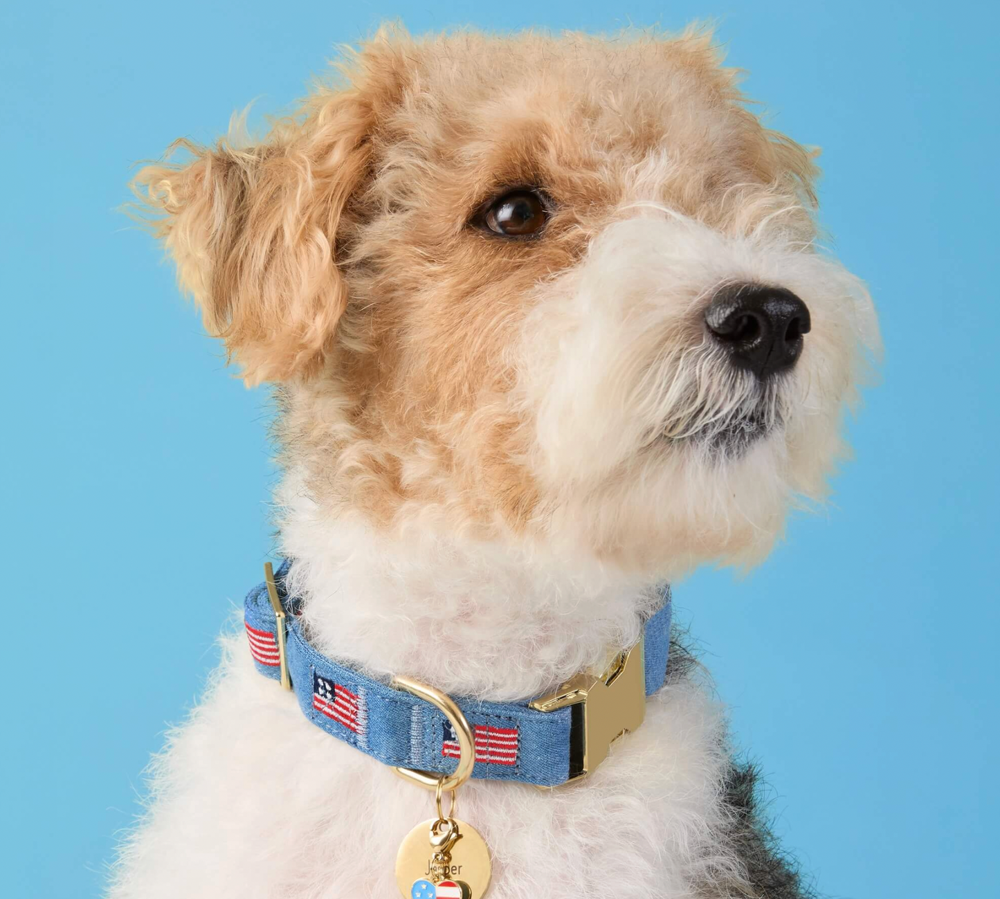 American Flag Embroidered Collar