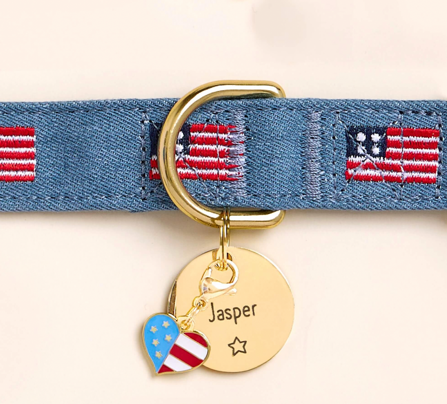 American Flag Embroidered Collar