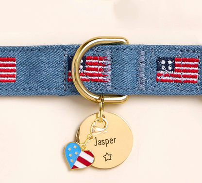 American Flag Embroidered Collar
