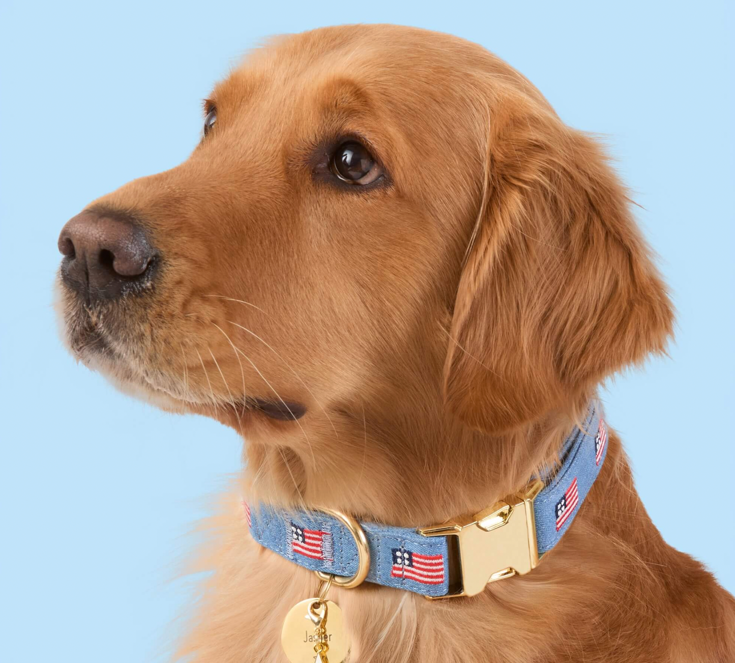 American Flag Embroidered Collar