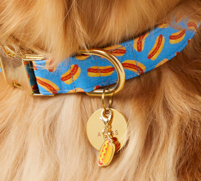 Hot Diggity Dog Collar