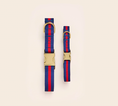 Mariner Striped Webbing Dog Collar